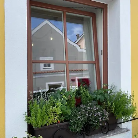 Zluty Domecek Appartement Třeboň