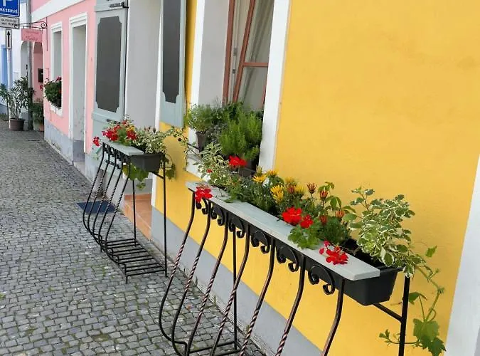 Apartment Zluty Domecek Trebon