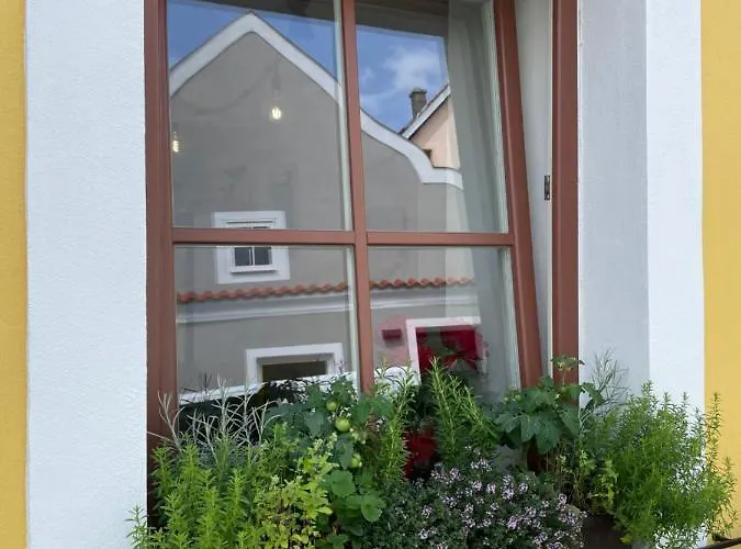 Zluty Domecek Apartment Trebon